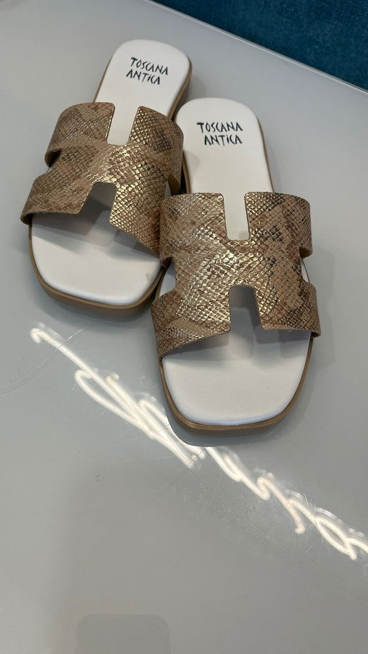 Ciabatta Carvela
