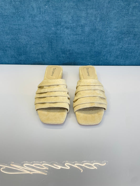 SCALZATO SUEDE