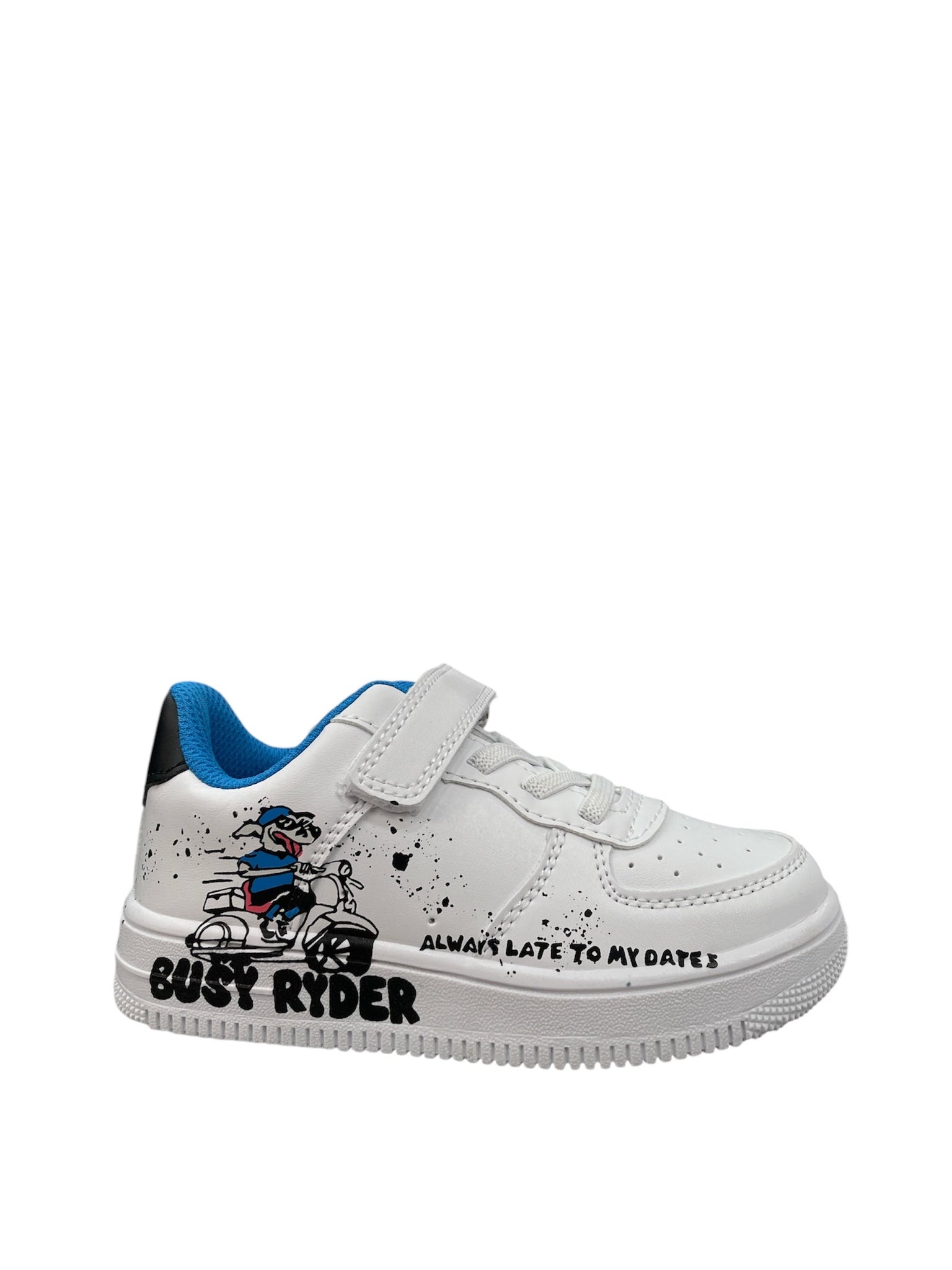 SNEAKERS DOG